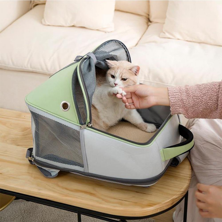 Pet Travel Essential