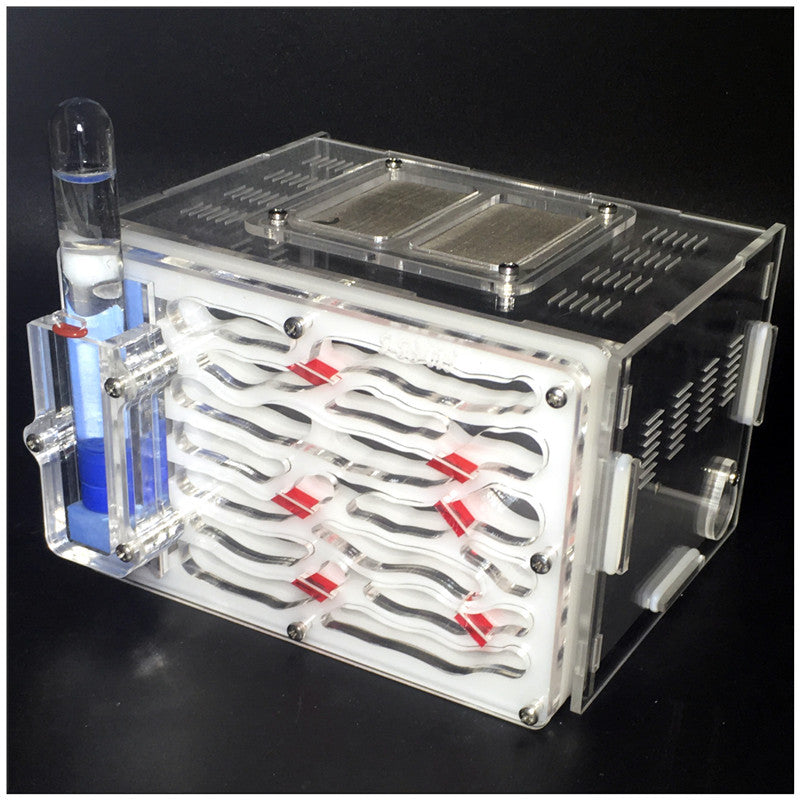 Acrylic ant nest small pet living ant villa castle